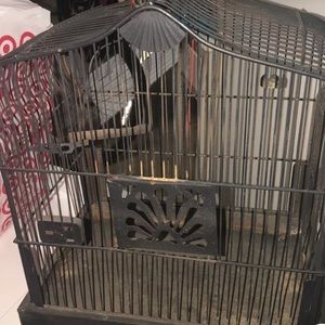 antique bird cage